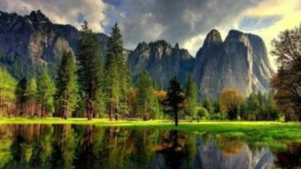 繁星流動——捕捉每個閃耀瞬間的專業攝像服務